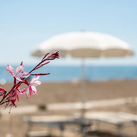 Terme 3* 蓬他码头