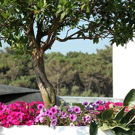 Otel Terme 3*